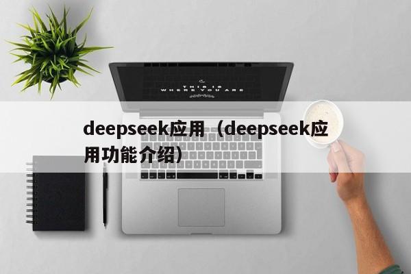 deepseek应用（deepseek应用功能介绍）