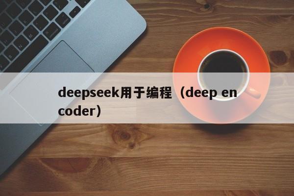 deepseek用于编程（deep encoder）