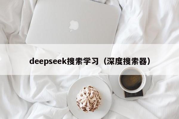 deepseek搜索学习（深度搜索器）