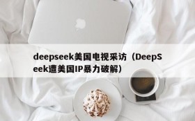 deepseek美国电视采访（DeepSeek遭美国IP暴力破解）