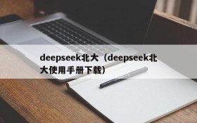 deepseek北大(deepseek北大使用手册下载)