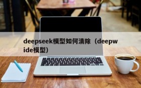 deepseek模型如何清除（deepwide模型）