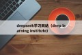 deepseek学习网站（deep learning institute）