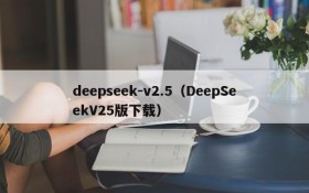 deepseek-v2.5(DeepSeekV25版下载)