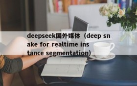 deepseek国外媒体（deep snake for realtime instance segmentation）