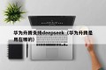 华为升腾支持deepseek（华为升腾是用在哪的）