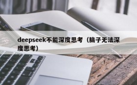 deepseek不能深度思考（脑子无法深度思考）