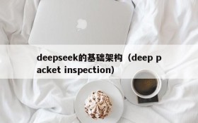 deepseek的基础架构（deep packet inspection）