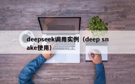 deepseek调用实例（deep snake使用）