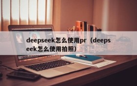 deepseek怎么使用pr（deepseek怎么使用拍照）