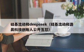 硅基流动和deepseek(硅基流动和潞晨科技创始人公开互怼)