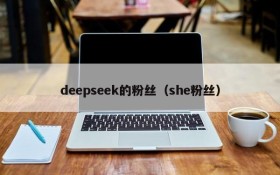 deepseek的粉丝（she粉丝）