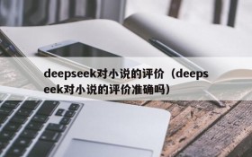 deepseek对小说的评价(deepseek对小说的评价准确吗)