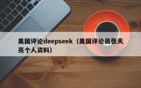 美国评论deepseek（美国评论员张天亮个人资料）