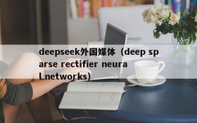 deepseek外国媒体（deep sparse rectifier neural networks）