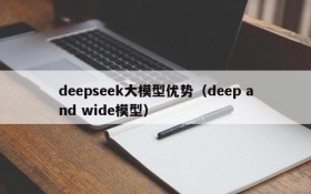 deepseek大模型优势（deep and wide模型）