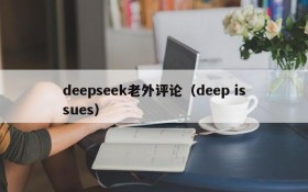 deepseek老外评论（deep issues）