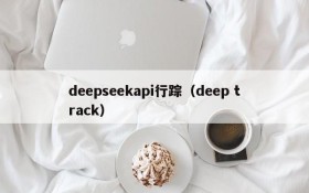 deepseekapi行踪(deep track)