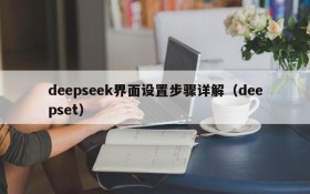 deepseek界面设置步骤详解(deepset)