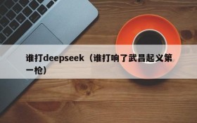 谁打deepseek(谁打响了武昌起义第一枪)