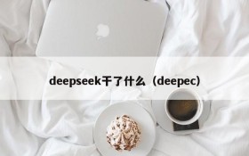 deepseek干了什么（deepec）