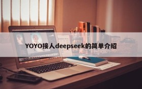 YOYO接人deepseek的简单介绍