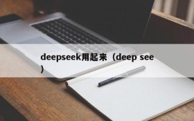 deepseek用起来(deep see)