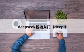 deepseek基础入门（deepl）