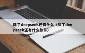 除了deepseek还有什么（除了deepseek还有什么软件）