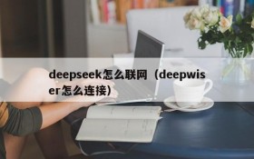 deepseek怎么联网(deepwiser怎么连接)