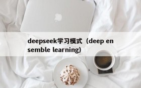 deepseek学习模式(deep ensemble learning)