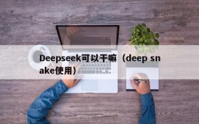 Deepseek可以干嘛(deep snake使用)