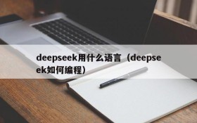 deepseek用什么语言（deepseek如何编程）