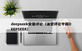deepseek安徽评论(油管评论中国DEEPSEEK)