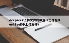 deepseek上传文件的数量(怎样在DeePSeeK中上传文件)