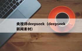 央视评deepseek（deepseek新闻素材）