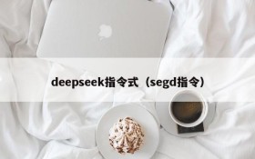 deepseek指令式（segd指令）