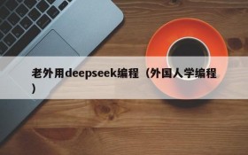 老外用deepseek编程（外国人学编程）