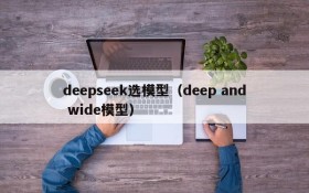 deepseek选模型（deep and wide模型）