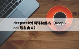 deepseek外网评价起名（DeepSeek起名由来）