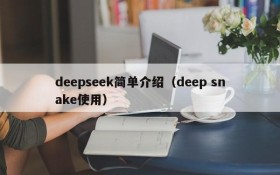 deepseek简单介绍(deep snake使用)