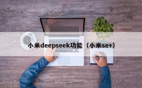 小米deepseek功能（小米se+）