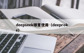 deepseek哪里使用（deeproke）