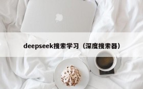 deepseek搜索学习（深度搜索器）