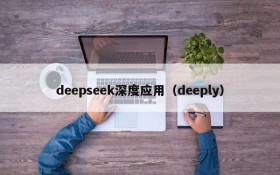 deepseek深度应用（deeply）