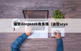 油管deepseek有多强（油管seya）