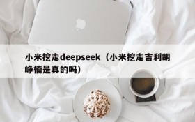 小米挖走deepseek（小米挖走吉利胡峥楠是真的吗）