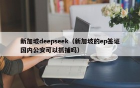 新加坡deepseek(新加坡的ep签证国内公安可以抓捕吗)