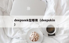 deepseek在哪用(deepskin)