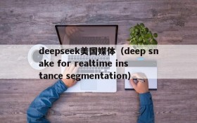 deepseek美国媒体（deep snake for realtime instance segmentation）